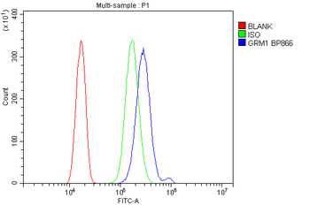Anti-mGluR1/GRM1 Antibody