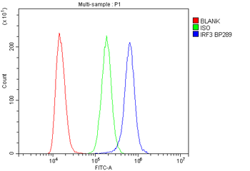 Anti-IRF3 Antibody