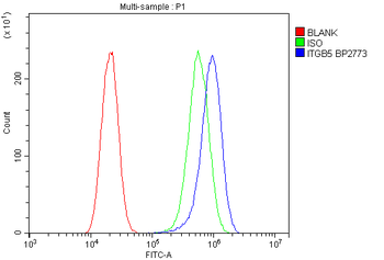 Integrin beta 5/ITGB5 Antibody