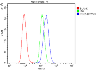 Anti-Integrin beta 5/ITGB5 Antibody