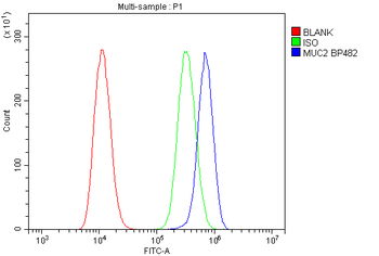 MUC2 Rabbit Polyclonal Antibody