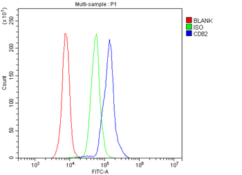 Anti-CD82 Antibody