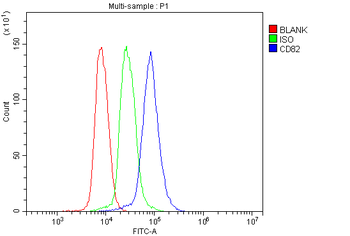 Anti-CD82 Antibody