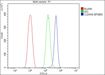 CLDN16/Claudin-16 Antibody