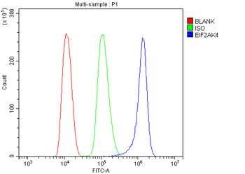 EIF2AK4 Rabbit Polyclonal Antibody