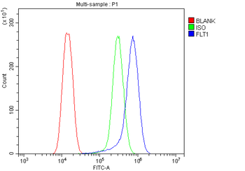 FLT1 Antibody