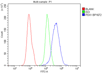 PDX1 Rabbit Polyclonal Antibody