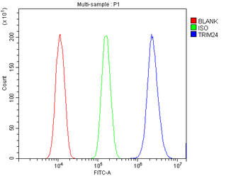 TRIM24 Antibody