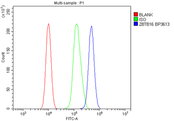 Plzf/ZBTB16 Antibody