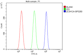 MCPIP1/ZC3H12A Antibody