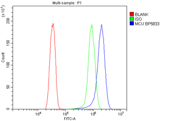 Anti-MCU Antibody