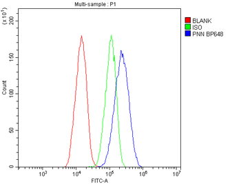 PNN/DRSP Antibody