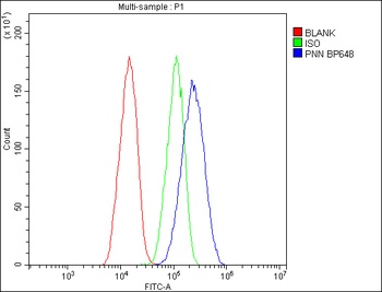 PNN/DRSP Antibody