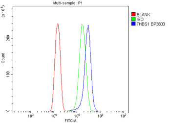 Thrombospondin/THBS1 Rabbit Polyclonal Antibody