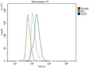 Anti-CD72 Antibody