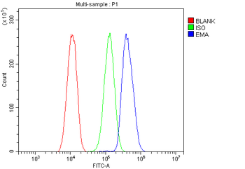 MUC1 Rabbit Polyclonal Antibody