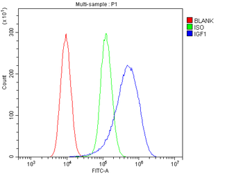 IGF1 Rabbit Polyclonal Antibody