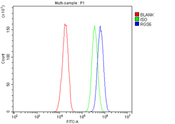 Anti-RGS6 Antibody