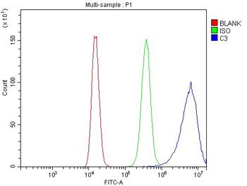 C3 Antibody