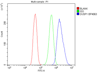MKP-1/DUSP1/MKP Rabbit Polyclonal Antibody