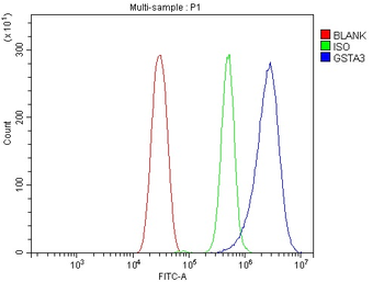 Gsta3 Rabbit Polyclonal Antibody