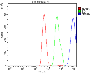 CEBP Delta/CEBPD Rabbit Polyclonal Antibody