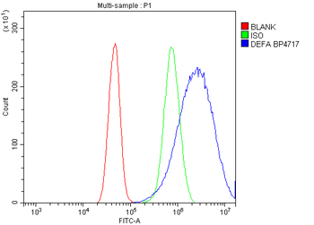 DFFA/ICAD Antibody