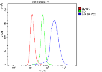 IL4R Rabbit Polyclonal Antibody