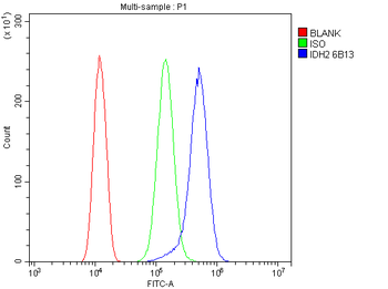 IDH2 Antibody (monoclonal, 6B13)
