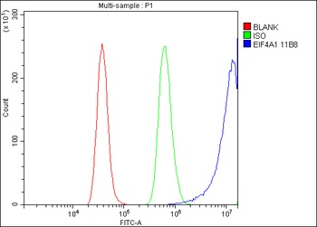 EIF4A1 Antibody (monoclonal, 11B8)