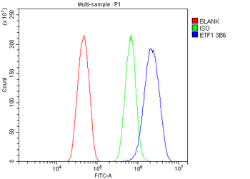 Anti-eRF1/ETF1 Antibody (monoclonal, 3B6)