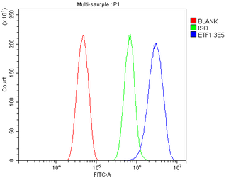 Anti-eRF1/ETF1 Antibody (monoclonal, 3E5)