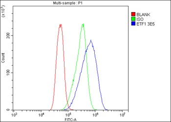 eRF1/ETF1 Antibody (monoclonal, 3E5)