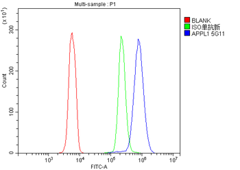 APPL/APPL1 Antibody (monoclonal, 5G11)