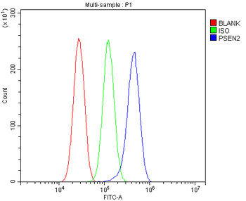 Anti-Presenilin 2/AD5/PSEN2 Antibody