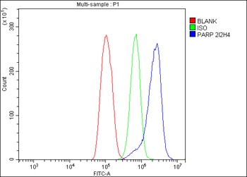 PARP/PARP1 Antibody (monoclonal, 2I2H4)
