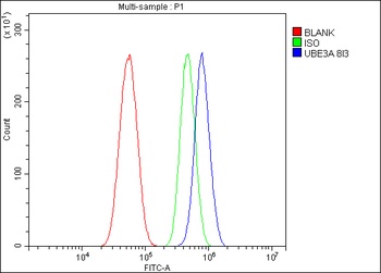 UBE3A Antibody (monoclonal, 8I3)