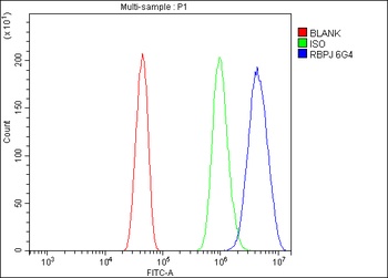 RBPJK/RBPJ Antibody (monoclonal, 6G4)