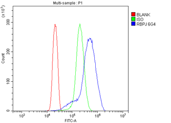 Anti-RBPJK/RBPJ Antibody (monoclonal, 6G4)