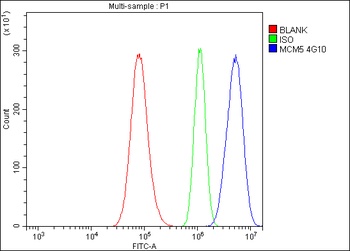 MCM5 Antibody (monoclonal, 4G10)