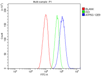 Anti-ATP5F1,2,3/ATP5MC1,2,3 Antibody (monoclonal, 12E9)