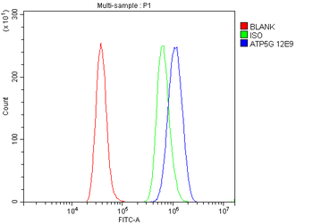 Anti-ATP5F1,2,3/ATP5MC1,2,3 Antibody (monoclonal, 12E9)