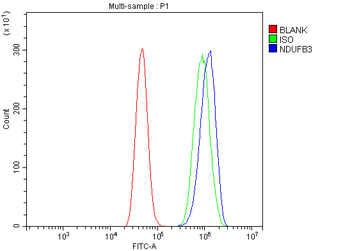 NDUFB3 Antibody