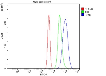 Profilin 2/PFN2 Antibody