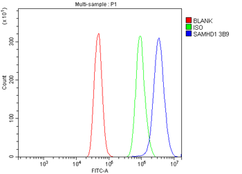 Anti-SAMHD1 Antibody (monoclonal, 3B9)