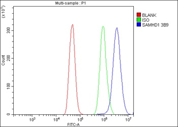 SAMHD1 Antibody (monoclonal, 3B9)