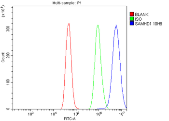 SAMHD1 Antibody (monoclonal, 10H8)