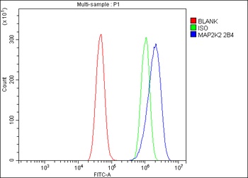 MEK2/MAP2K2 Antibody (monoclonal, 2B4)