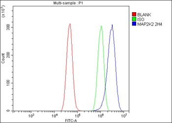 MEK2/MAP2K2 Antibody (monoclonal, 2H4)