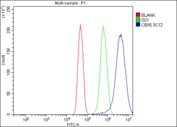 HP1 alpha/CBX5 Antibody (monoclonal, 8G6)